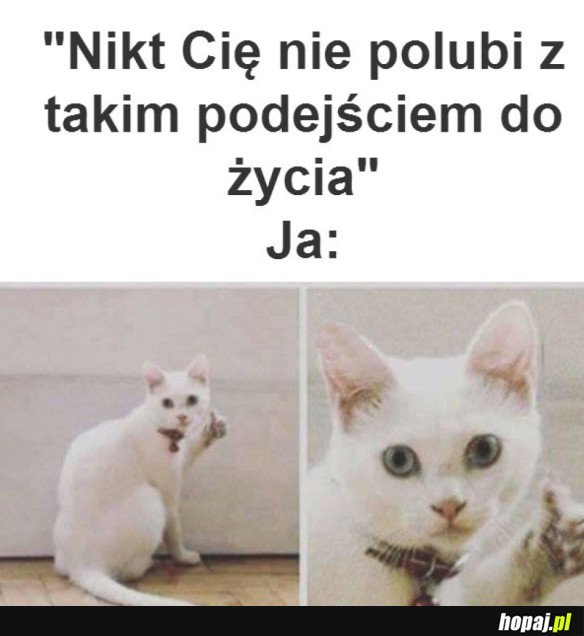 NIKT CIE NIE POLUBI