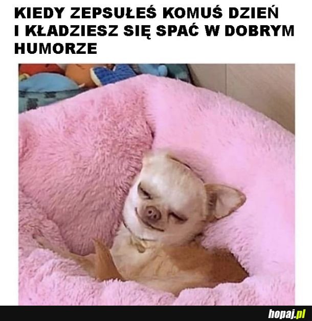 Dobry humor