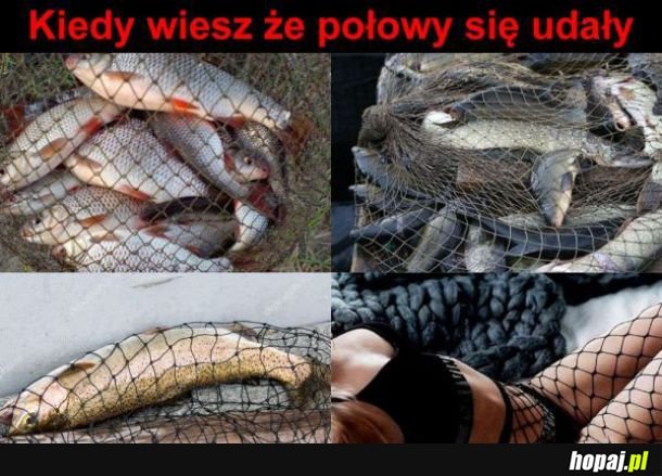 Połowy 