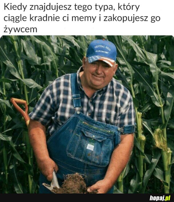 Znajdę cię