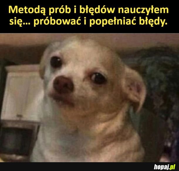 Metoda prób i błędów