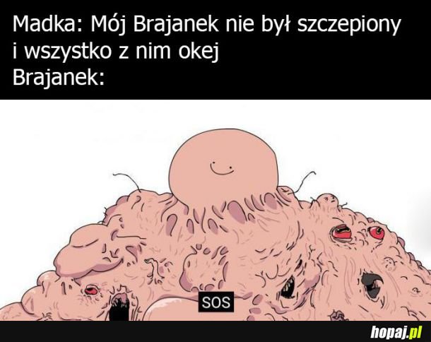 Brajanek