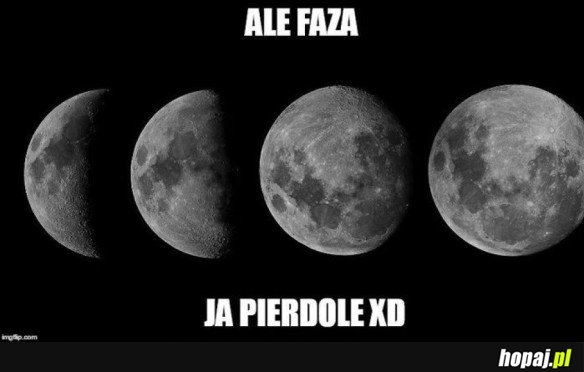 ALE FAZA