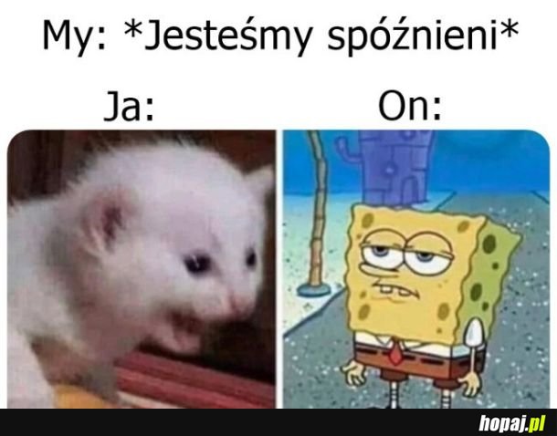 Rózne reakcje