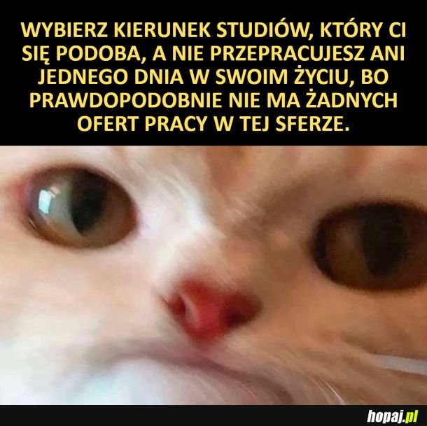 Kierunek studiów