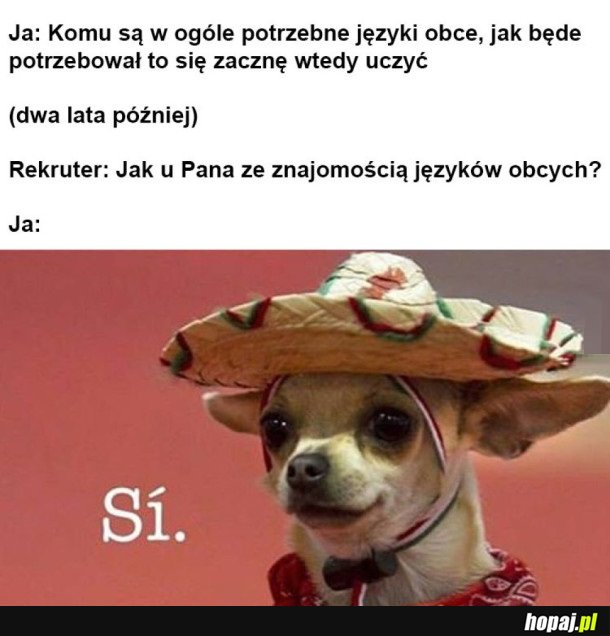 BYLEM GŁUPI