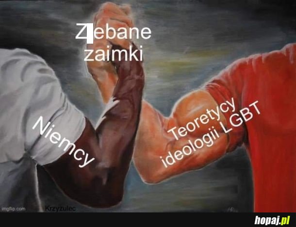 Cechy wspólne