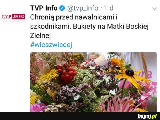 Tymczasem w TVP