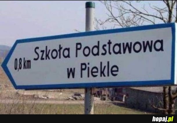 Czekaj co?