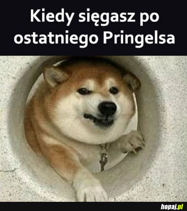 Pringelsy