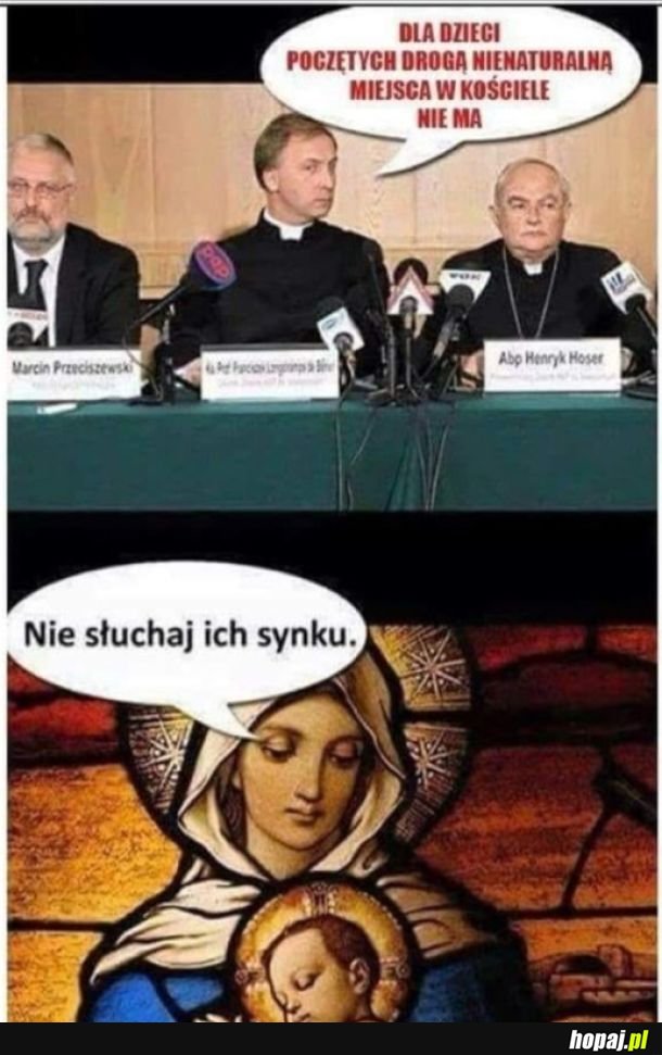 Niepokalani rozumem