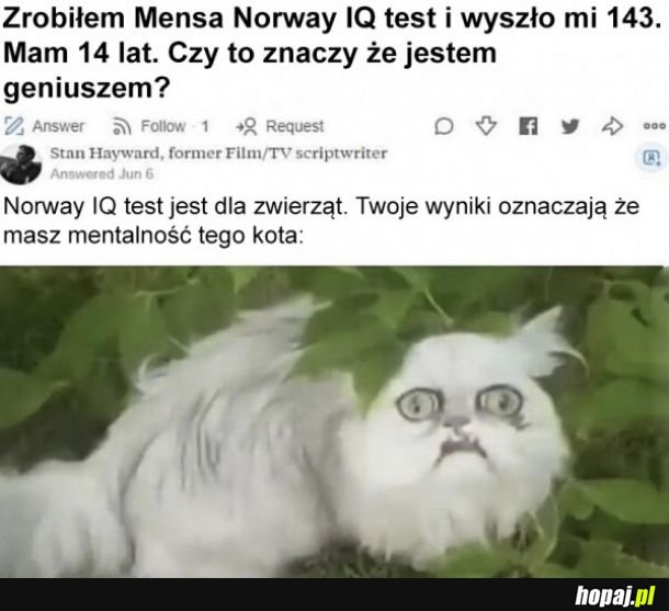 Test na IQ