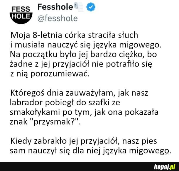 Prawdziwy przyjaciel