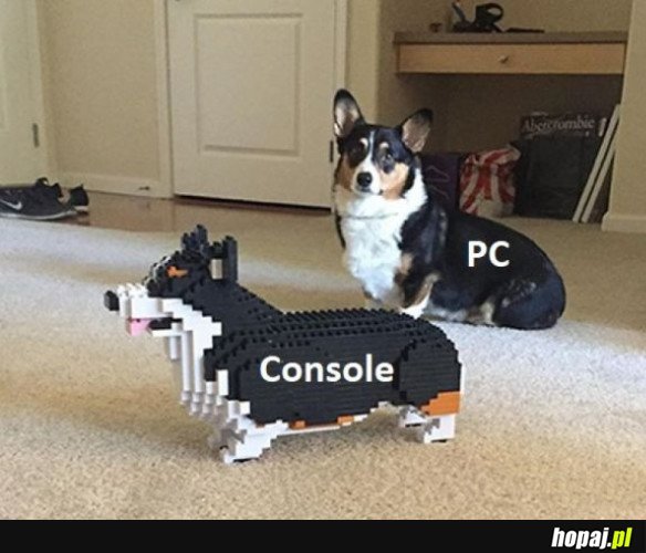 PC MASTER RACE