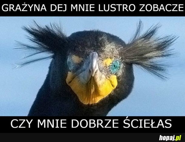 GRAŻYNA DEJ LUSTRO!