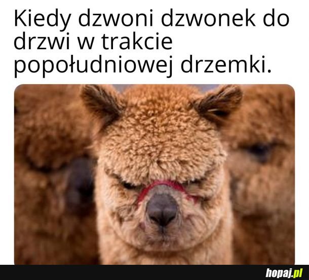 Dlaczego ja?