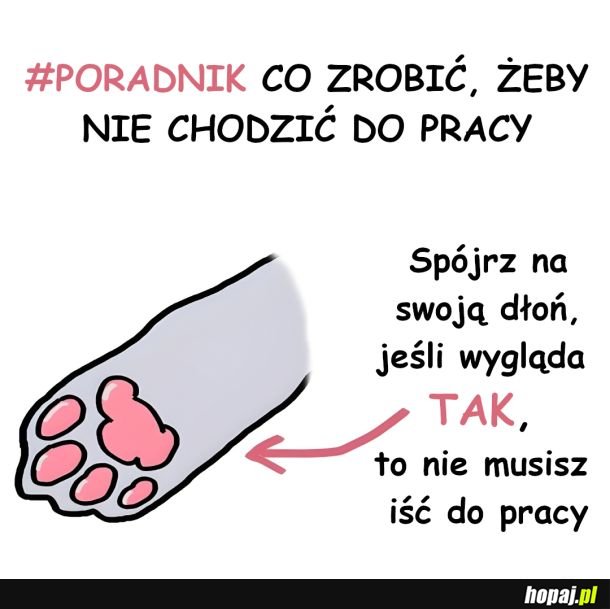 Poradnik