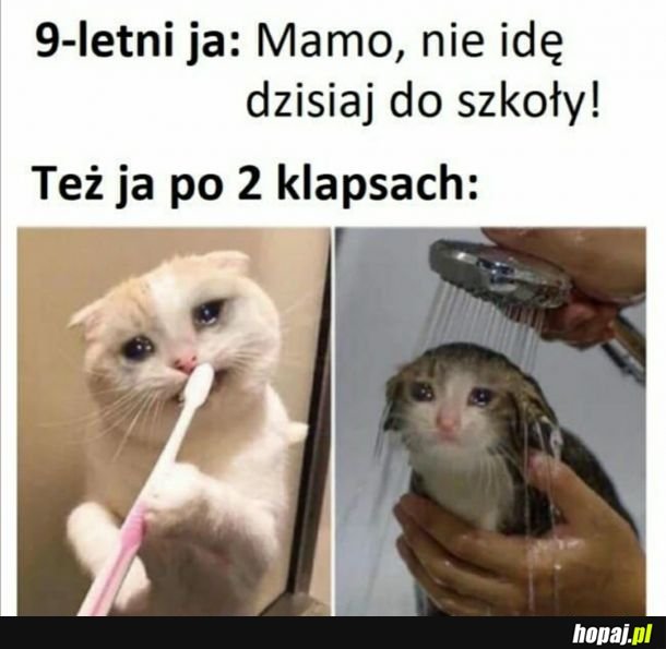 Dobra jednak idę