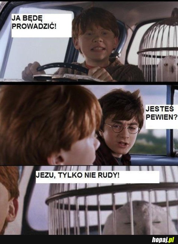 TO SIĘ ŹLE SKOŃCZY