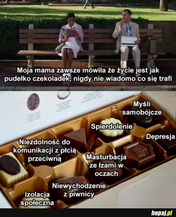 ŻYCIE JEST JAK PUDEŁKO CZEKOLADEK