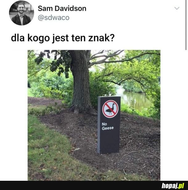 Znak