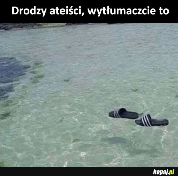 Ateiści