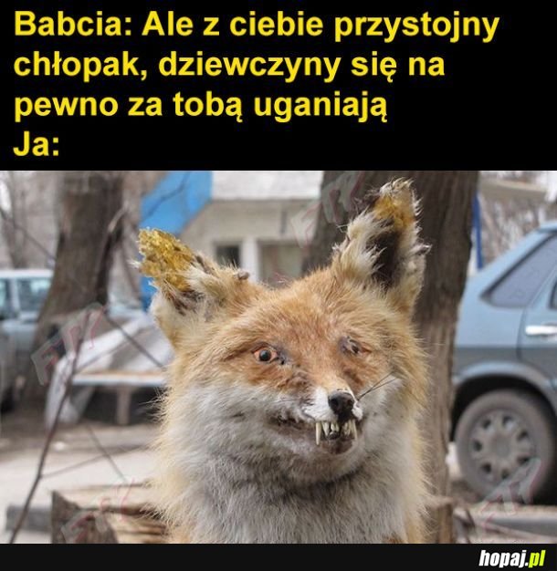 Przystojniak