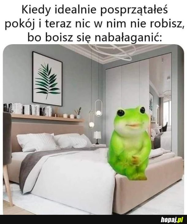 Porządek