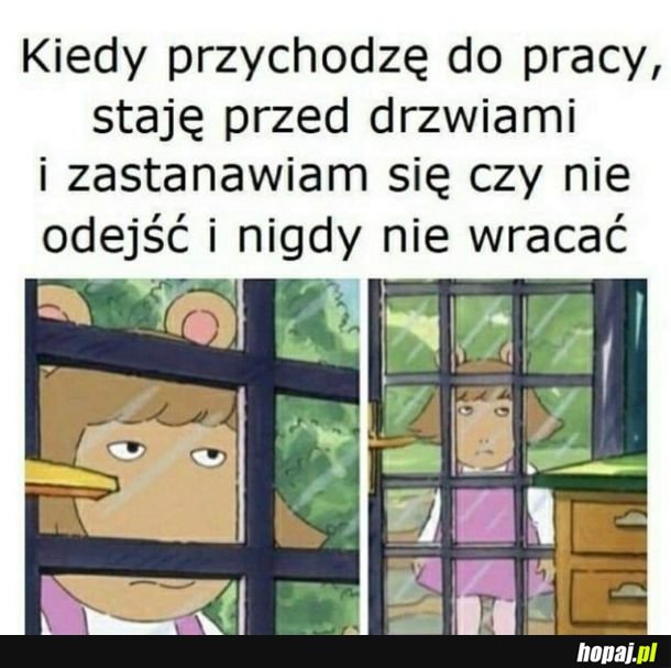 Poczułem to rano
