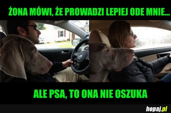 MĄŻ VS ŻONA