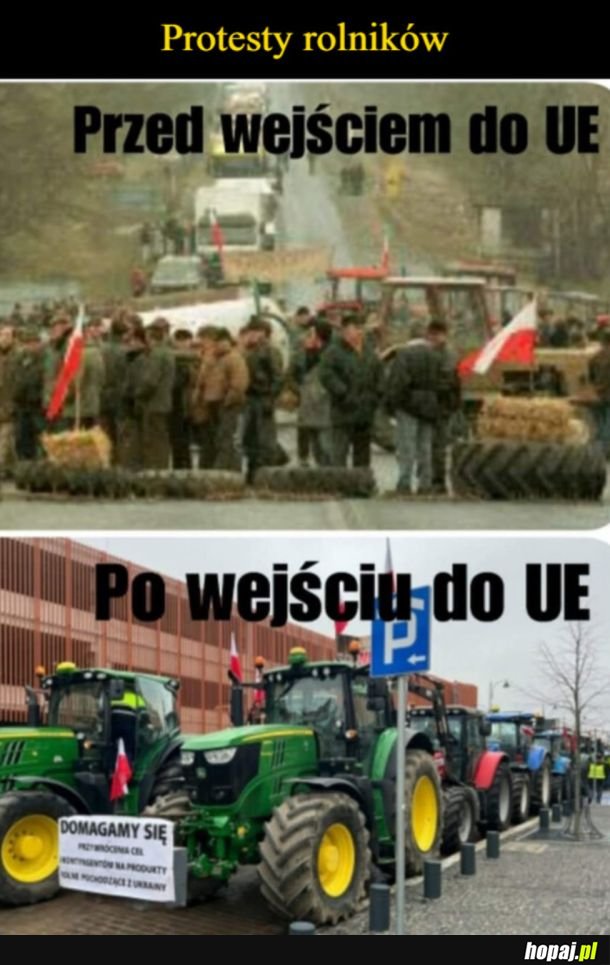 Protesty rolników