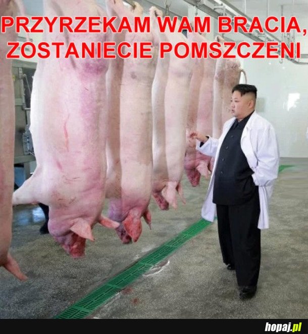 KIM I PROSIAKI