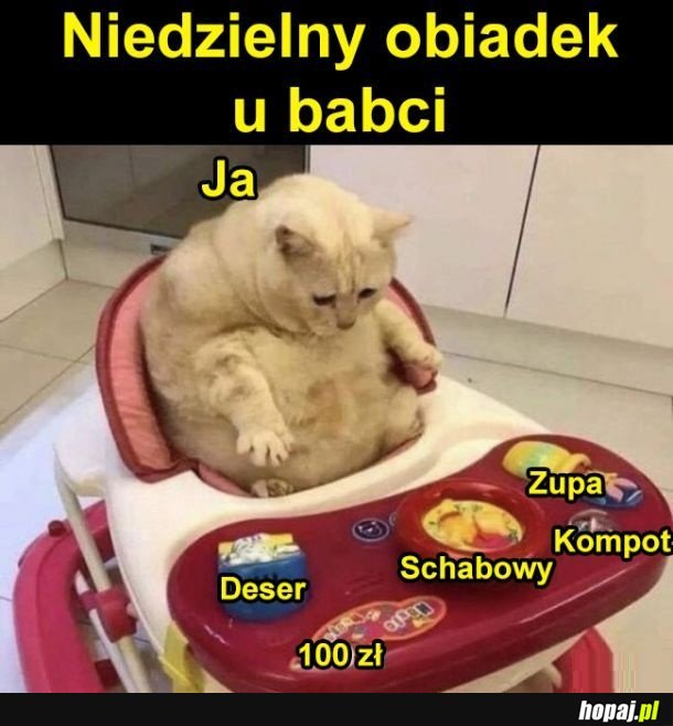 Babcia