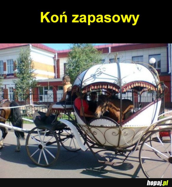 KOŃ ZAPASOWY