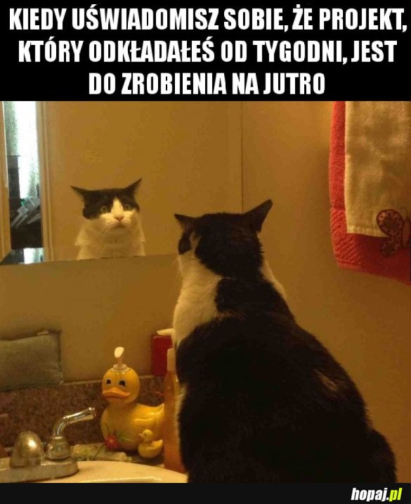 TO UCZUCIE