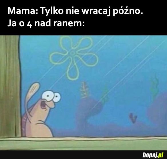 Hej mamo