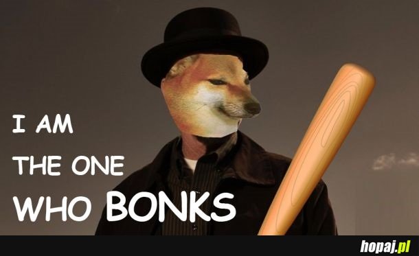 DogeBonk is the one...