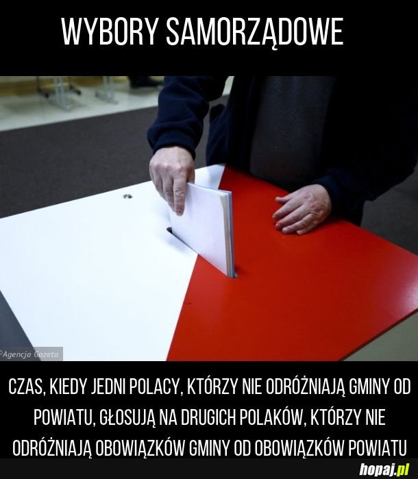 Wybory samorządowe