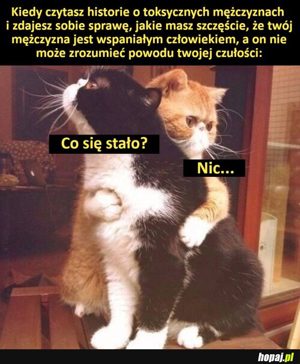 Czułość