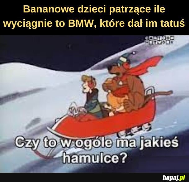 Kierunkowskazów nie ma.