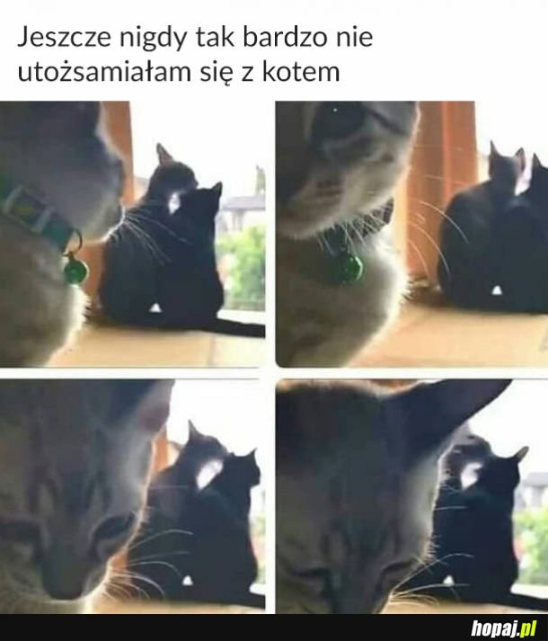  Najsmutniej
