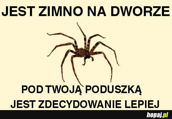 Zimno, przytulisz?
