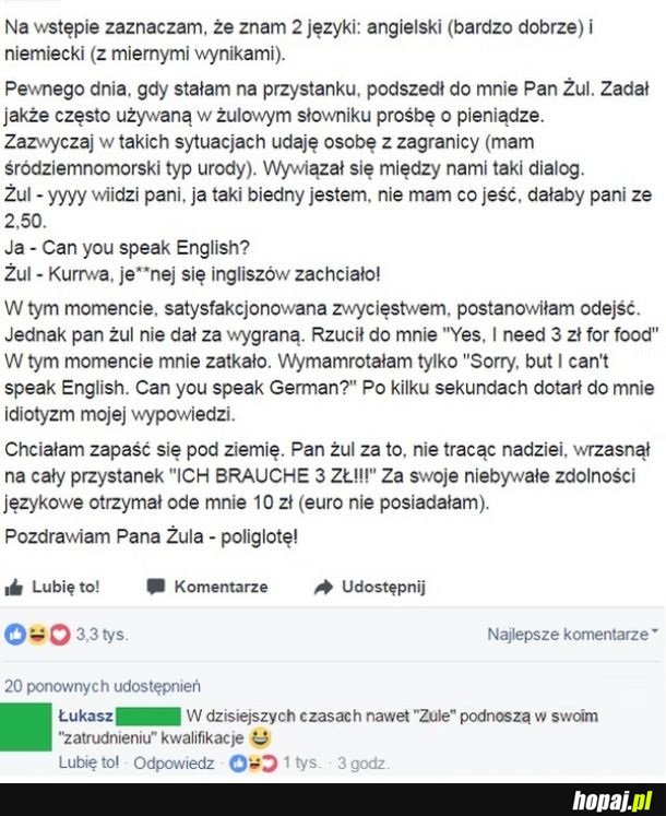 Żul poliglota