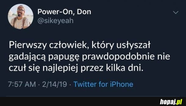 Prawdopodobnie 