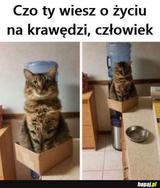 Życie na krawędzi