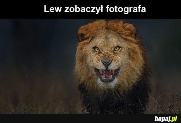 Zobaczył fotografa