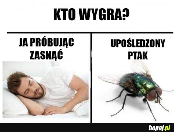 TRZECIA NIEPRZESPANA NOC Z RZĘDU