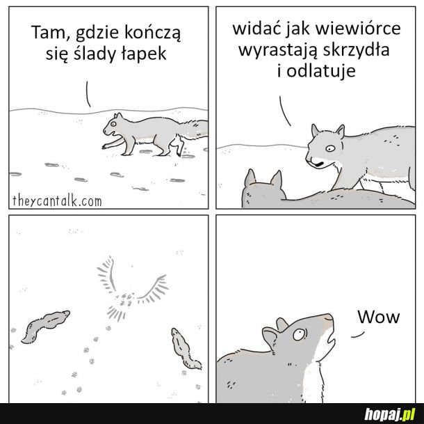 Skrzydlata wiewióra