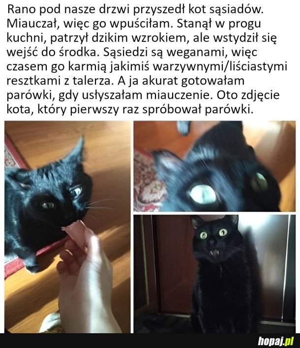 Pierwsza parówka w życiu