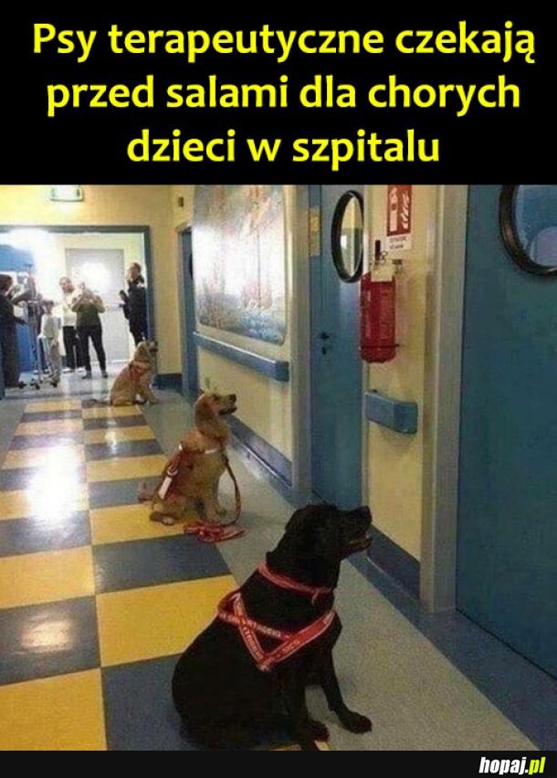 Anioły bez skrzydeł